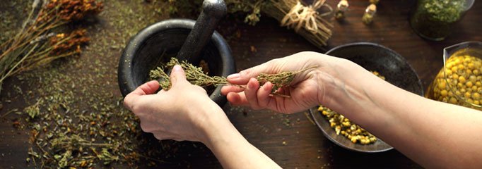Fitoterapia energetica