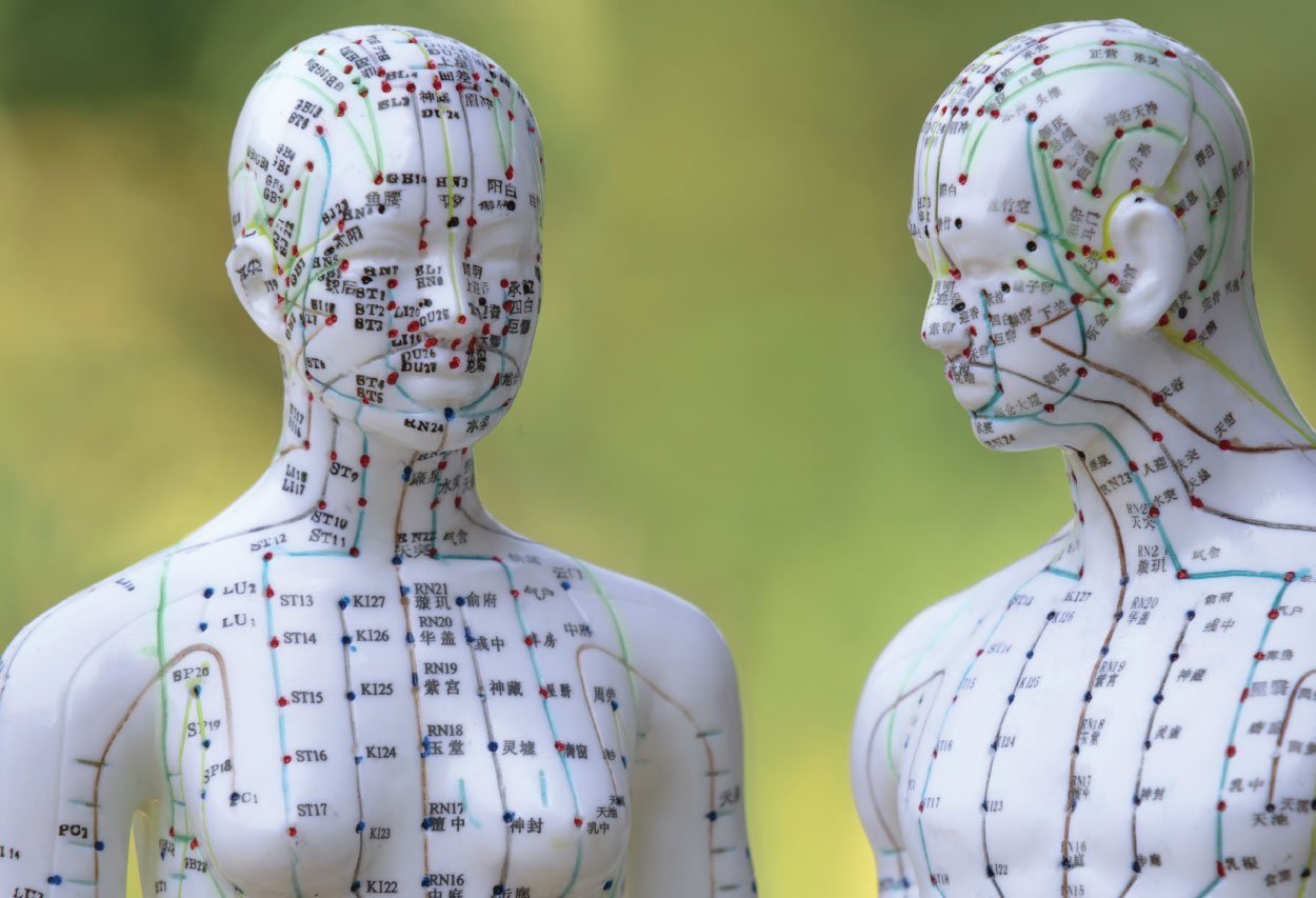 Basi Medicina Tradizionale Cinese